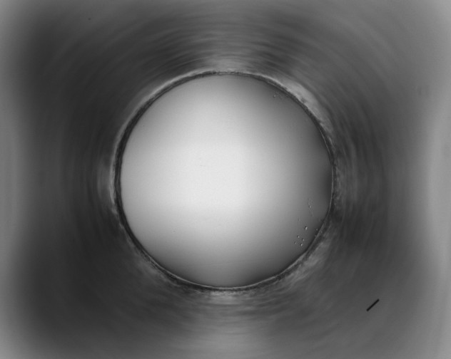 X0000088680904200706141352