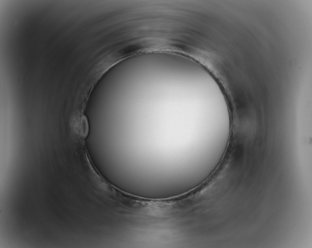 X0000088680905200706141352