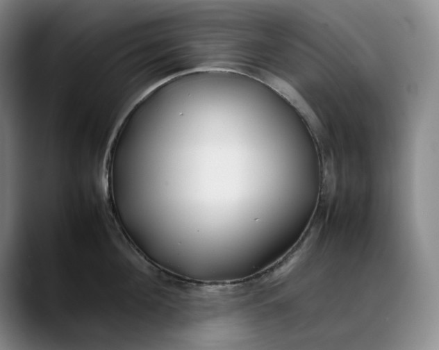 X0000088680908200706141352