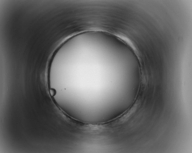 X0000088680910200706141352