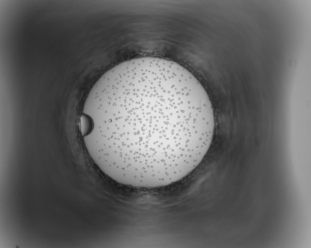 X0000088680913200706141351