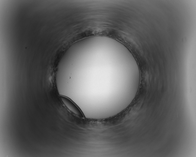 X0000088680914200706141351