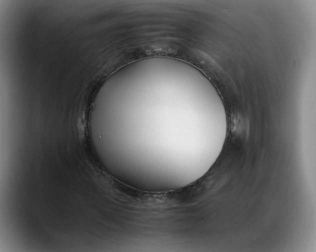 X0000088680915200706141351