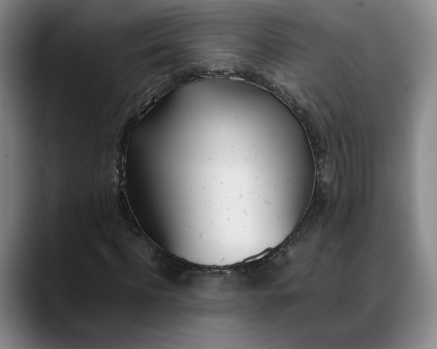 X0000088680916200706141351