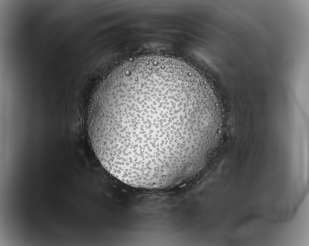 X0000088680917200706141351