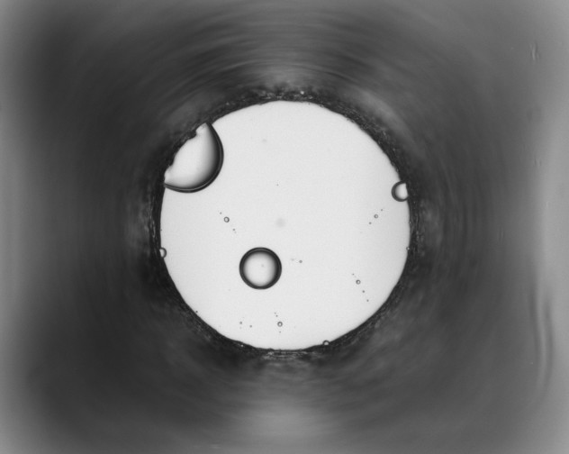 X0000088680918200706141351