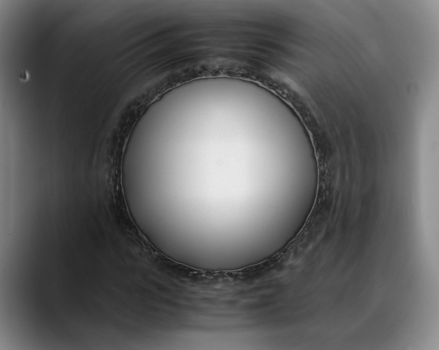 X0000088680919200706141351