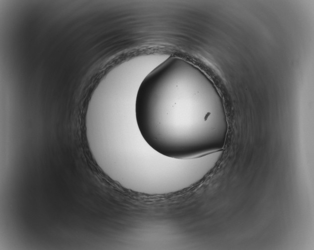X0000088680920200706141351