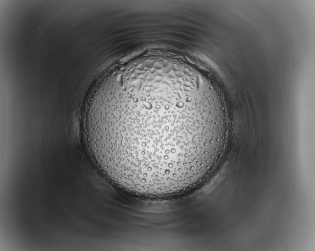 X0000088680921200706141351