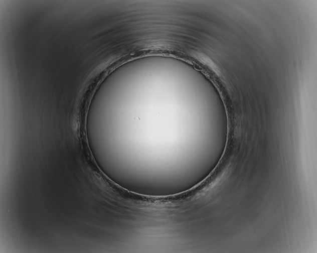 X0000088680922200706141351