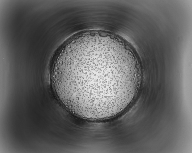 X0000088680925200706141351