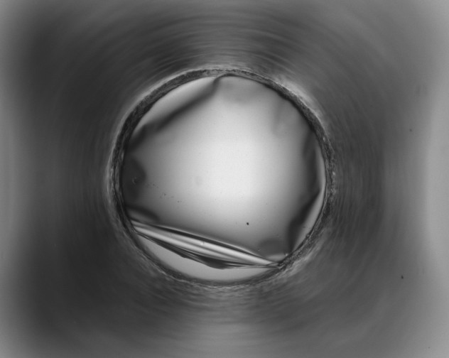 X0000088680928200706141351