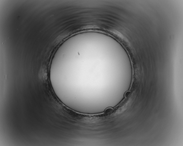 X0000088680929200706141351