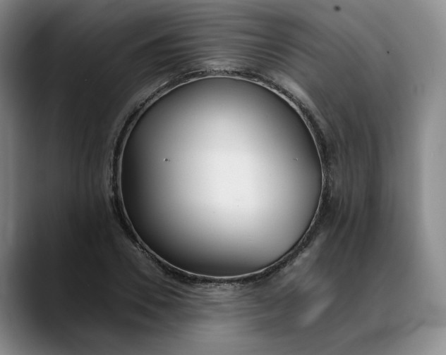 X0000088680930200706141351