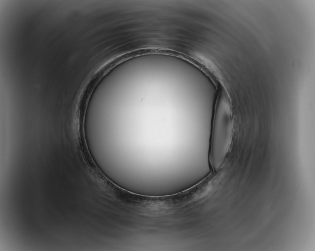 X0000088680931200706141351