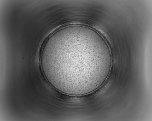 X0000088680933200706141352