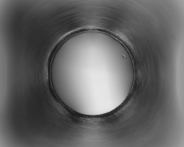 X0000088680934200706141352
