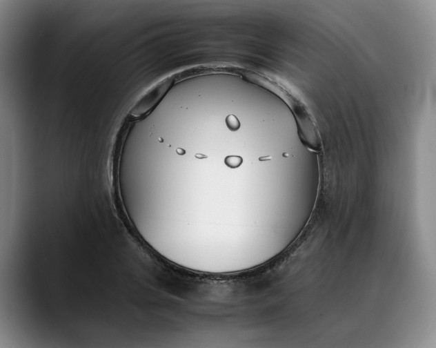 X0000088680935200706141352