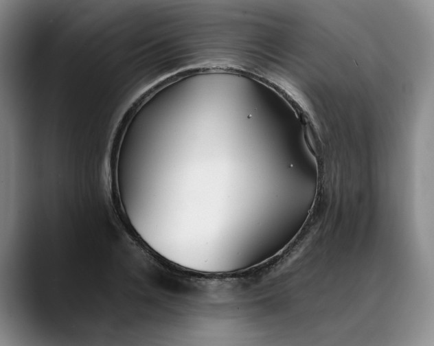 X0000088680936200706141352
