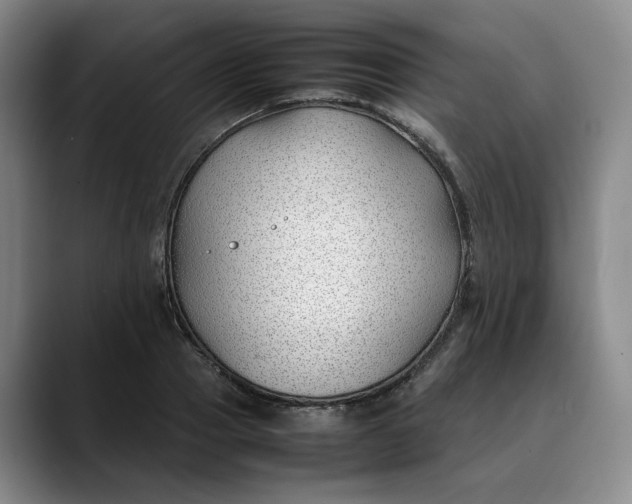 X0000088680937200706141352