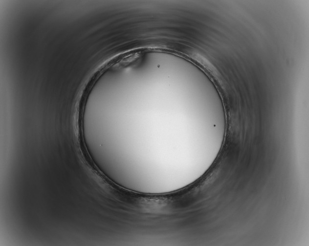 X0000088680939200706141352