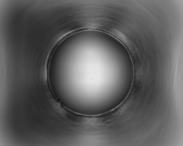 X0000088680940200706141352