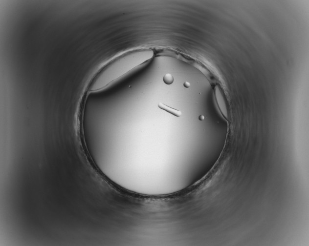 X0000088680944200706141352