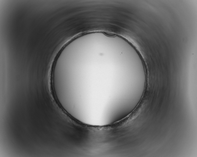 X0000088680949200706141352