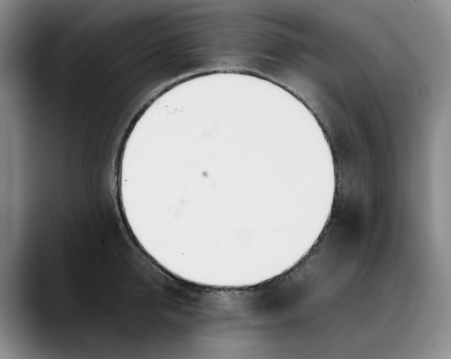 X0000088680950200706141352
