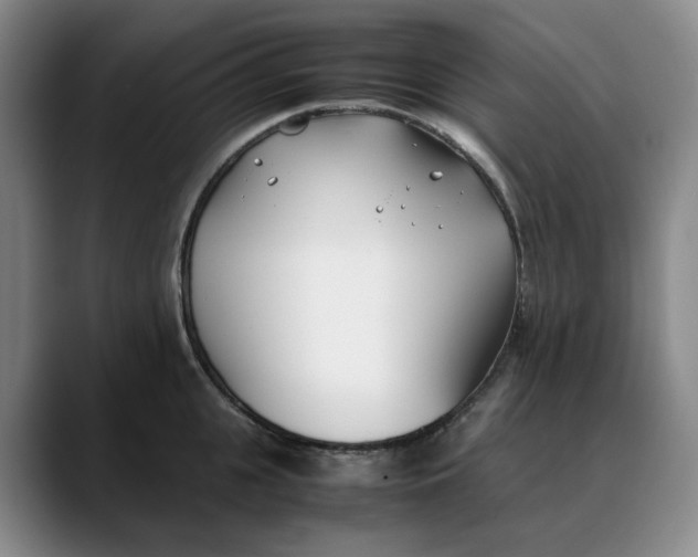 X0000088680951200706141352