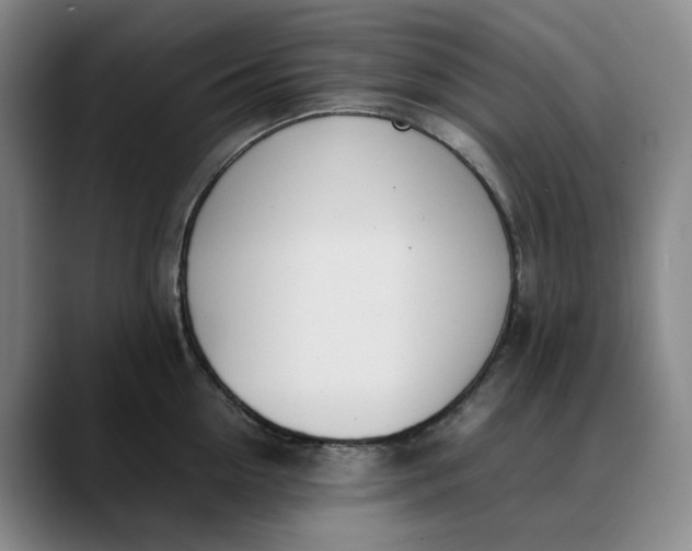 X0000088680954200706141352