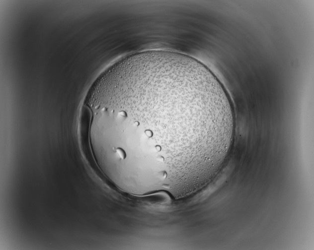 X0000088680957200706141352