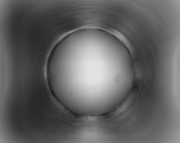 X0000088680958200706141352