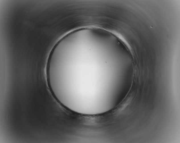 X0000088680959200706141352
