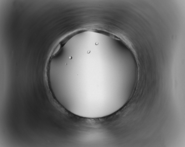X0000088680960200706141352