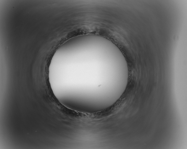 X0000088680961200706141351