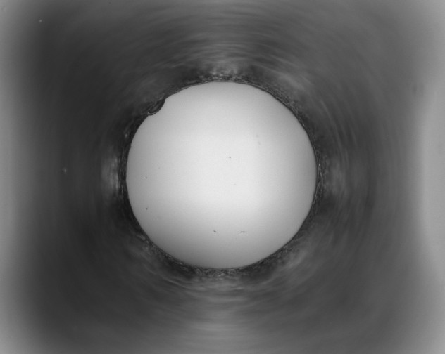 X0000088680962200706141351