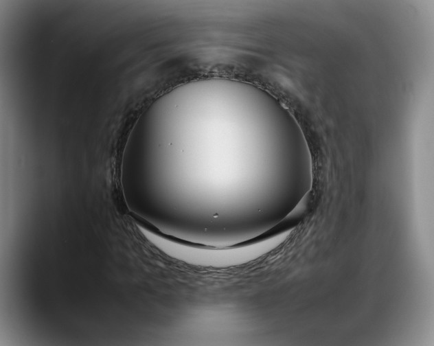 X0000088680965200706141351