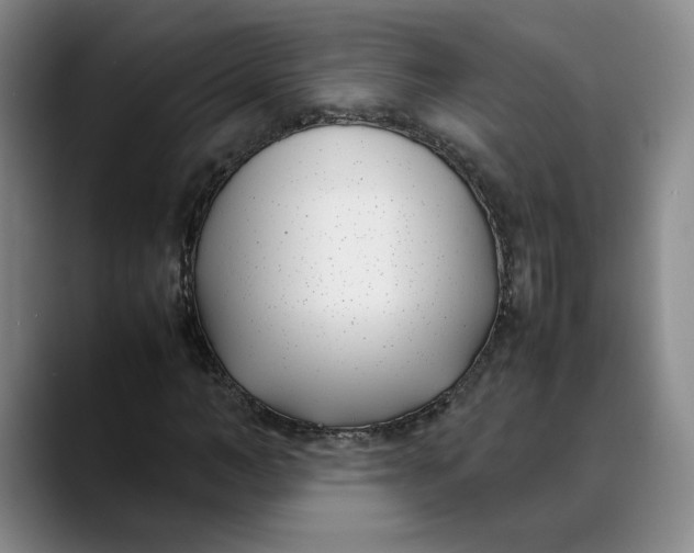 X0000088680966200706141351