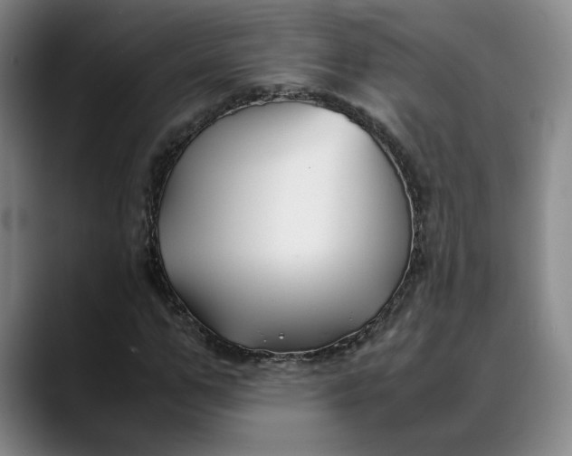 X0000088680967200706141351