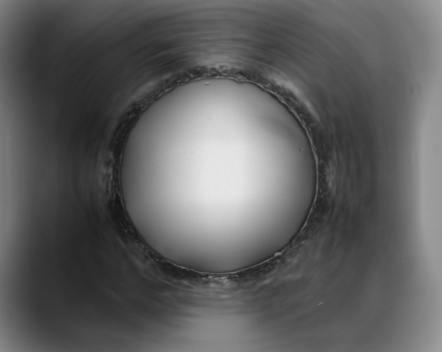 X0000088680968200706141351