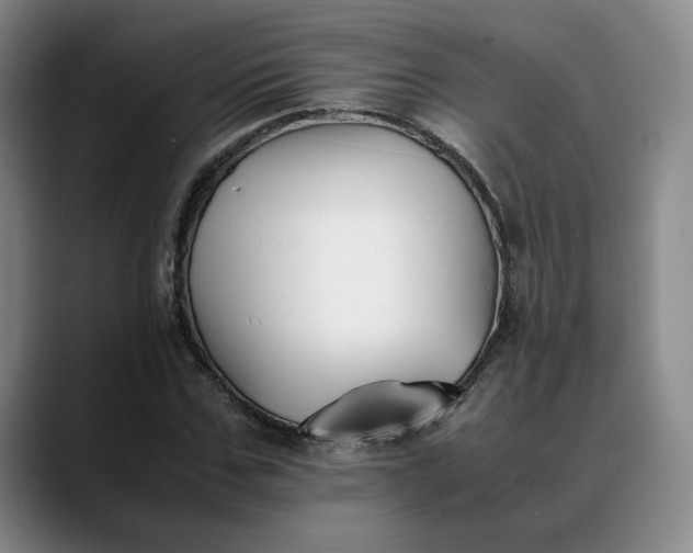 X0000088680971200706141351