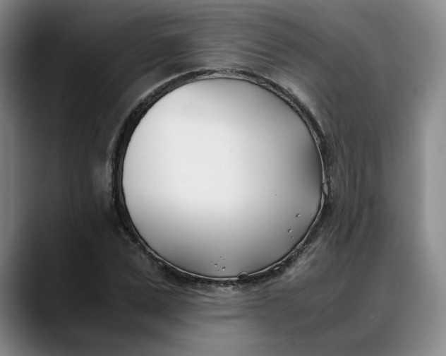 X0000088680975200706141351