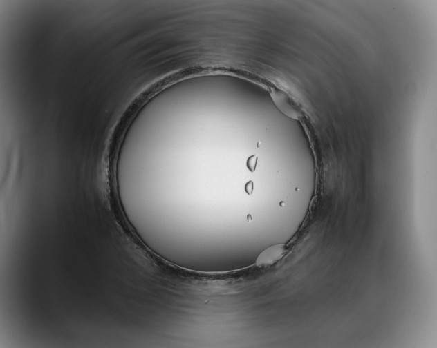 X0000088680976200706141351