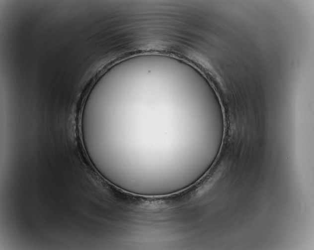 X0000088680978200706141351