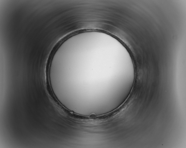 X0000088680980200706141351