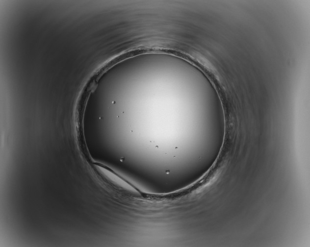 X0000088680981200706141351