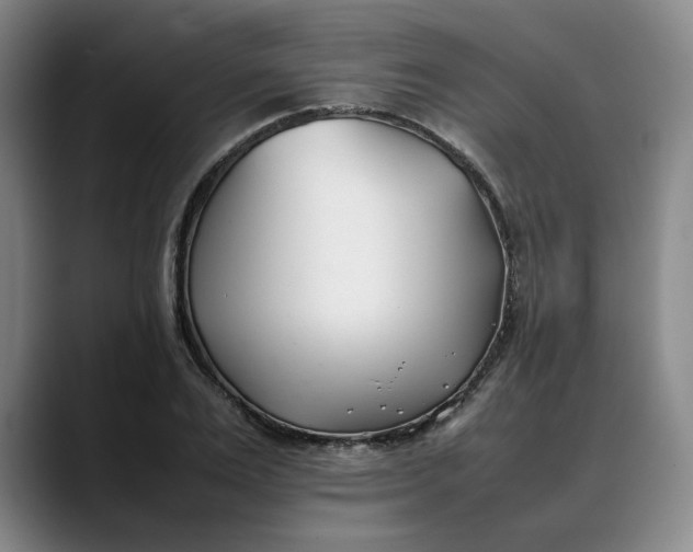 X0000088680983200706141351