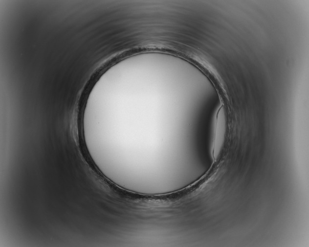 X0000088680984200706141351
