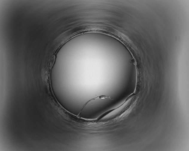X0000088680985200706141351